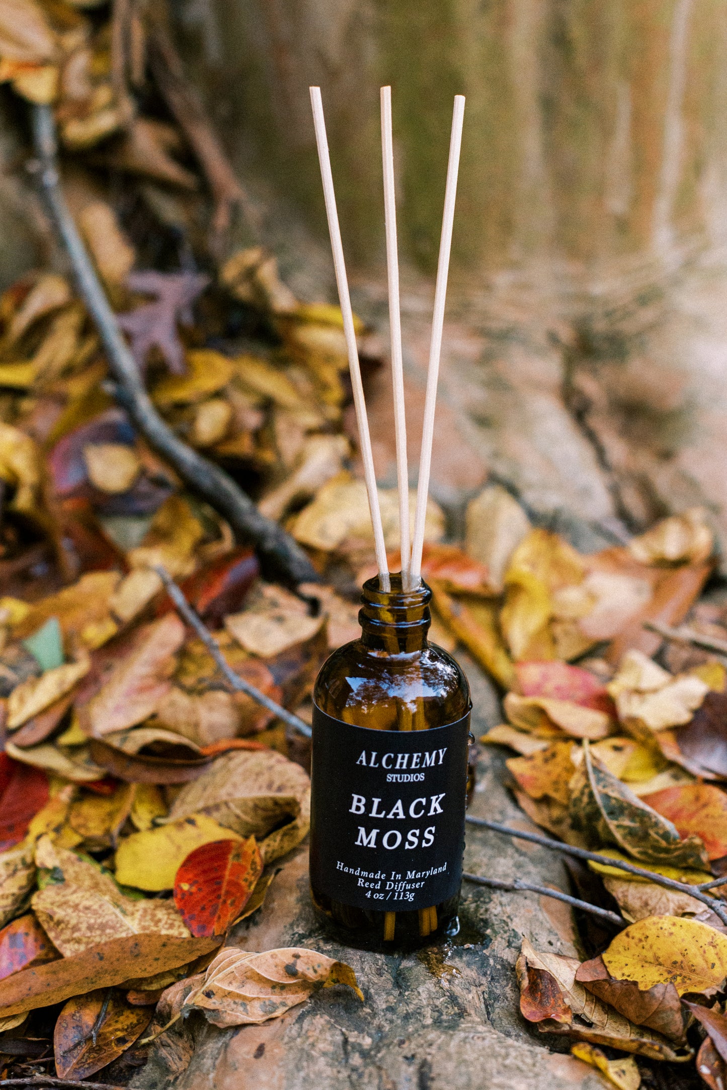 Black Moss Reed Diffuser